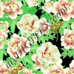Colour:K