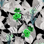 Colour:C