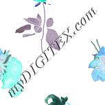 Colour:F