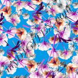 Colour:B