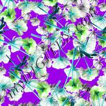 Colour:C