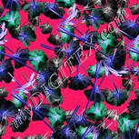 Colour:F