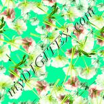 Colour:K