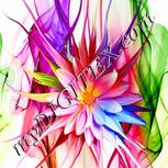 Colour:A
