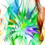 Colour:D