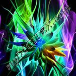 Colour:F