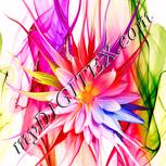 Colour:J