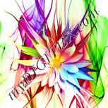 Colour:K