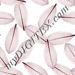 Colour:A