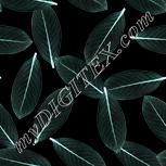 Colour:F