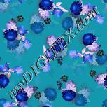 Colour:F