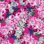 Colour:C
