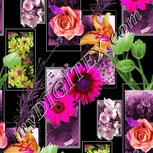 Colour:B