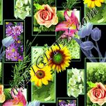 Colour:K