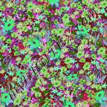 Colour:C