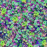 Colour:D