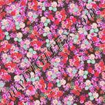 Colour:B