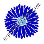 Colour:F