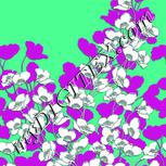 Colour:C