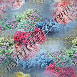 Colour:A