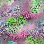 Colour:C