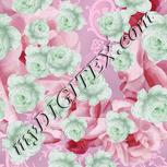 Colour:B