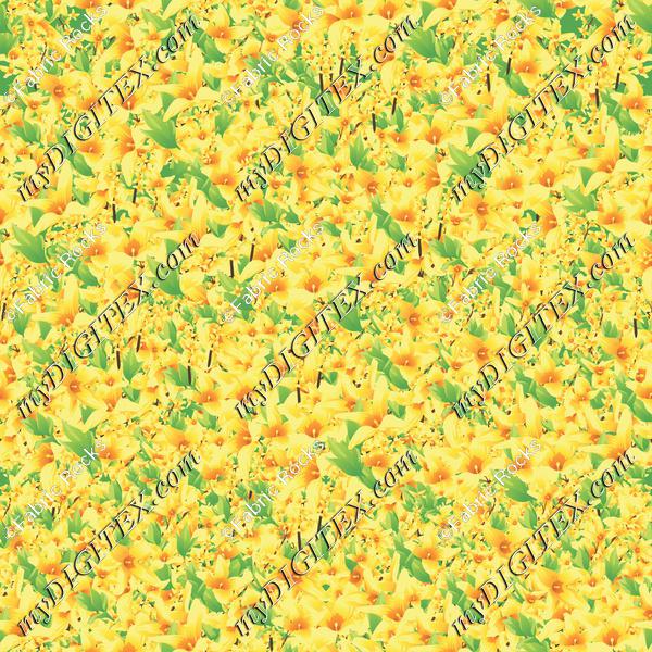 Forsythia Riot