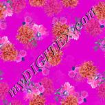 Colour:B