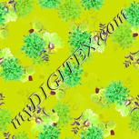 Colour:D