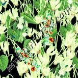 Colour:K