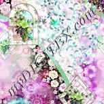Colour:C