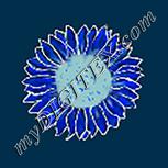 Colour:F
