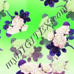 Colour:C
