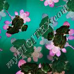 Colour:F