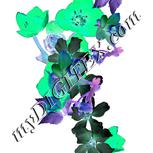Colour:F
