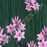 Colour:B