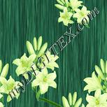 Colour:K