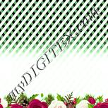 Colour:K
