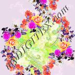 Colour:B