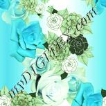 Colour:K