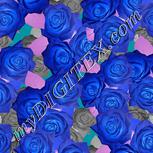 Colour:F