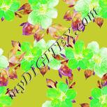 Colour:D