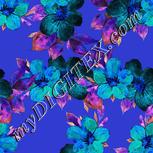 Colour:F