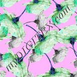 Colour:B