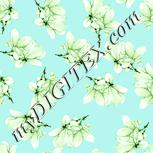 Colour:K
