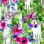 Colour:C