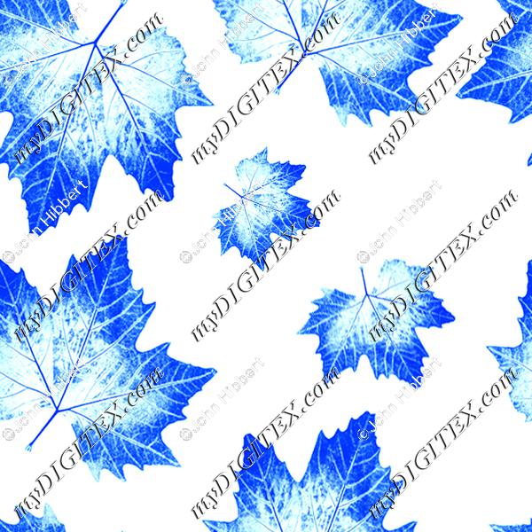 dueblue Maple leaves