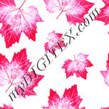 Colour:C