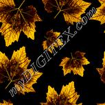 Colour:F