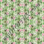 Colour:D